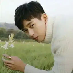 情侣头像背景阳光