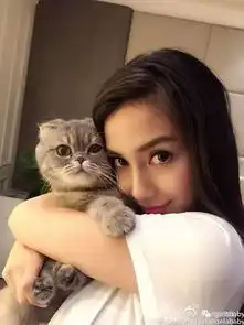 猫系列的可爱头像爱猫