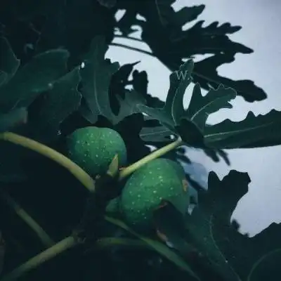 让人心情很丧的图片朋友圈丧系配图