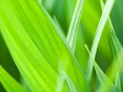 dhzzb浏览照片