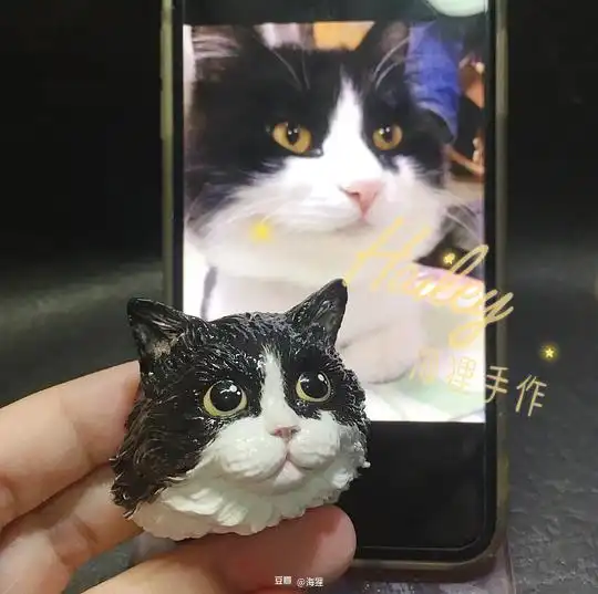 海狸的相册客定头像回顾