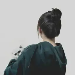 求助英短猫猫托运英短银渐层刚刚打电话咨询深圳航空他说不是扁鼻猫就可以托运它是扁鼻猫吗