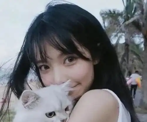 吸猫什么意思为什么有人说吸猫有益健康