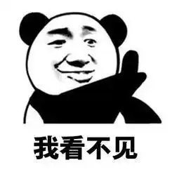 有一个不会拍照的buddy是怎样一种体验