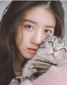 猫系少女头像简单版李凯