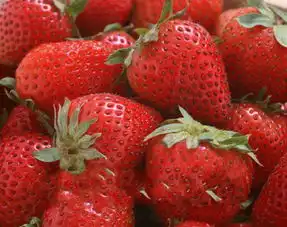 江苏句容草莓江苏句容草莓的介绍江苏句容草莓的图片
