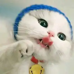 可爱头像猫系情侣不是人