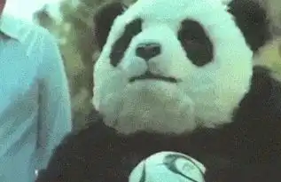 暴力熊猫奶酪动态表情包下载暴力熊猫奶酪gif表情包高清无水印极光下载站