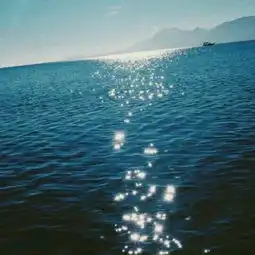 面料辅料开发个人简历模板