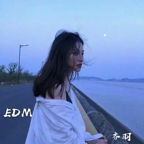 巴辛博累dj版齐羽高音质在线试听巴辛博累dj版歌词歌曲下载酷狗音乐