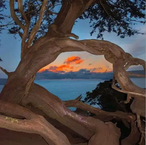写给考生的励志文案我曾经是第一名,以后也会是
