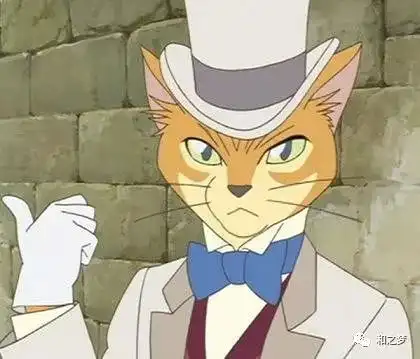 我住小剧场找龙猫的小女孩