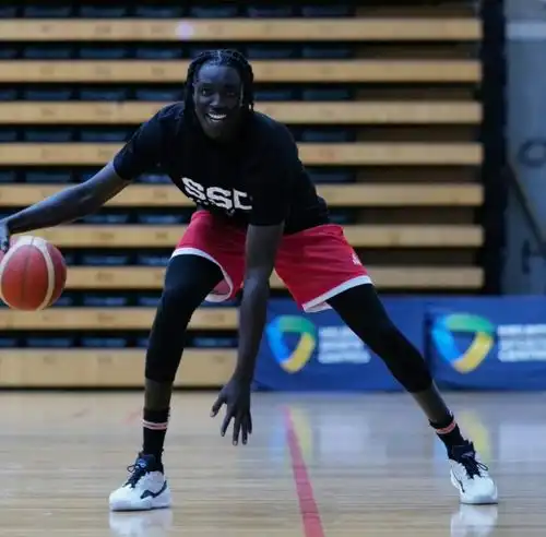 中国男篮小组赛对手南苏丹引进四大nba外援中国男篮难了