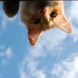 唯美图片大全唯美意境图片带文字唯美的图片女生腾牛个性网