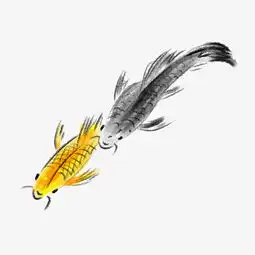 手绘卡通灰色黄色锦鲤图片素材其他格式下载动漫人物大全