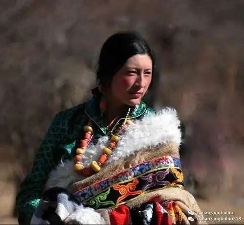 藏族微信头像图片大全