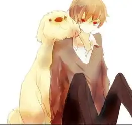 关于会员高清头像的问题