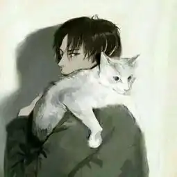 有哪些好看的猫咪壁纸或头像