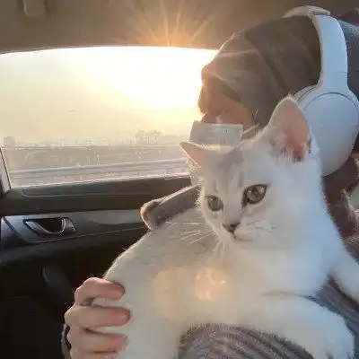 抱蓝猫的男生头像