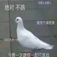 三笠与鸽子头像