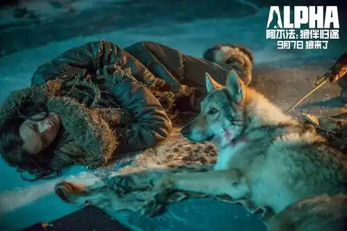 阿尔法狼伴归途世上第一条狗竟是这样诞生的