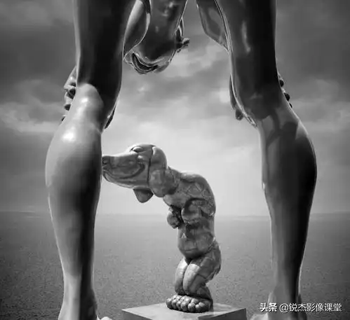 如何把很多照片拼成一张照片如何从零开始学习制作一张创意照片