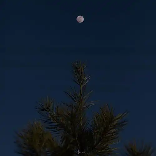 超好看的蓝色系头像