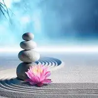 有禅意的微信头像高清