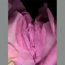 不介意吧性文化节