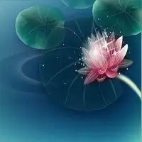 派派卡通头像图片大全微信头像图片大全