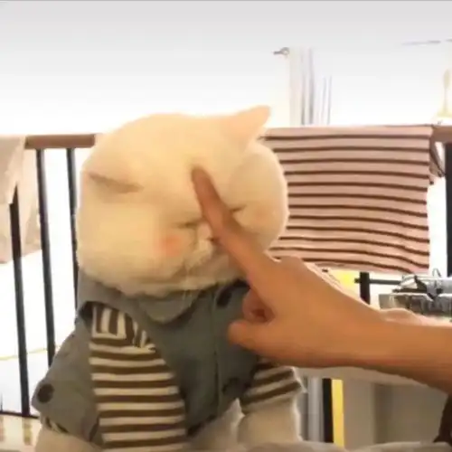 蓝色系慵懒小众头像舒服