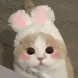 地表最强画眉攻略,再学不会画眉谁也帮不了你了