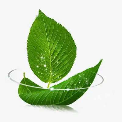 绿色叶子船素材图片免费下载高清png千库网图片编号6351253