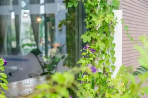 佛山这些小清新景点,每一个人文爱好者都不该错过