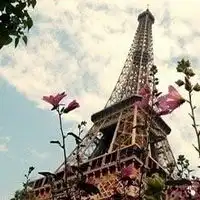 艾菲尔铁塔qq头像2