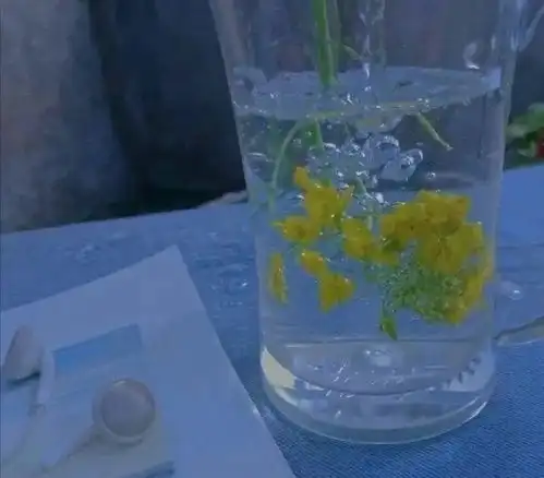 小众且带点情绪化的文案