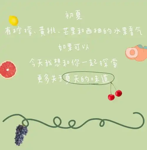 夏天的风和我一起来了