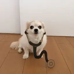 治愈系头像什么意思女主