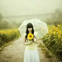 向日葵qq头像向日葵女生头像