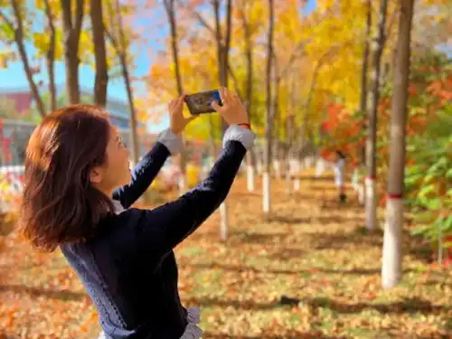 秋日限定美景上线快来这里拍一组氛围感大片