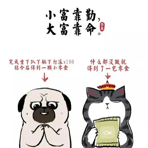 吾皇巴扎黑的爸爸来啦超气人铲屎官白茶专访星球talk