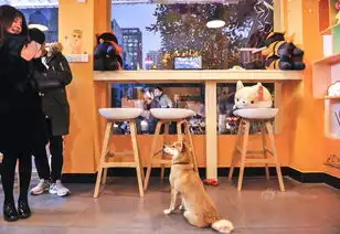 沙县小吃已逆天摇身变萌系网红店