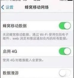 苹果5s系统升级10.3.2不能用4g网络了怎么办