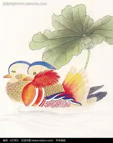 荷叶下的两只鸳鸯