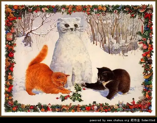 懒猫