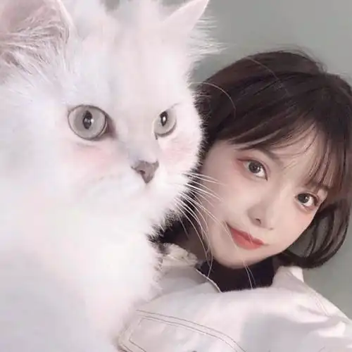 wechat对象不是人系列情头