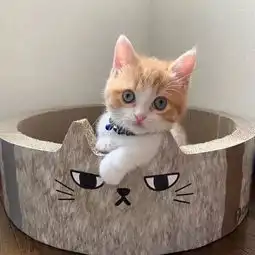 一批超个性好看的微信头像