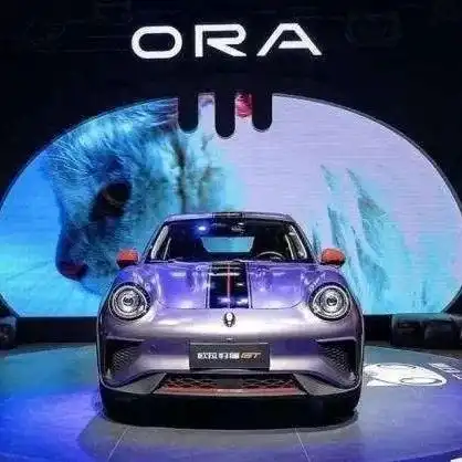 欧拉猫系命名的背后