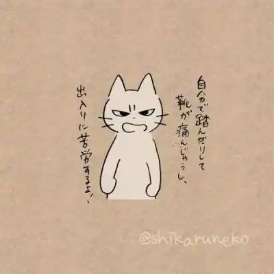 一组卡通可爱猫咪头像日本画师