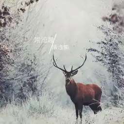 心跳停止一半常定晨高音质在线试听心跳停止一半歌词歌曲下载酷狗音乐